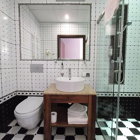 Piast Centrum Hotel 2*